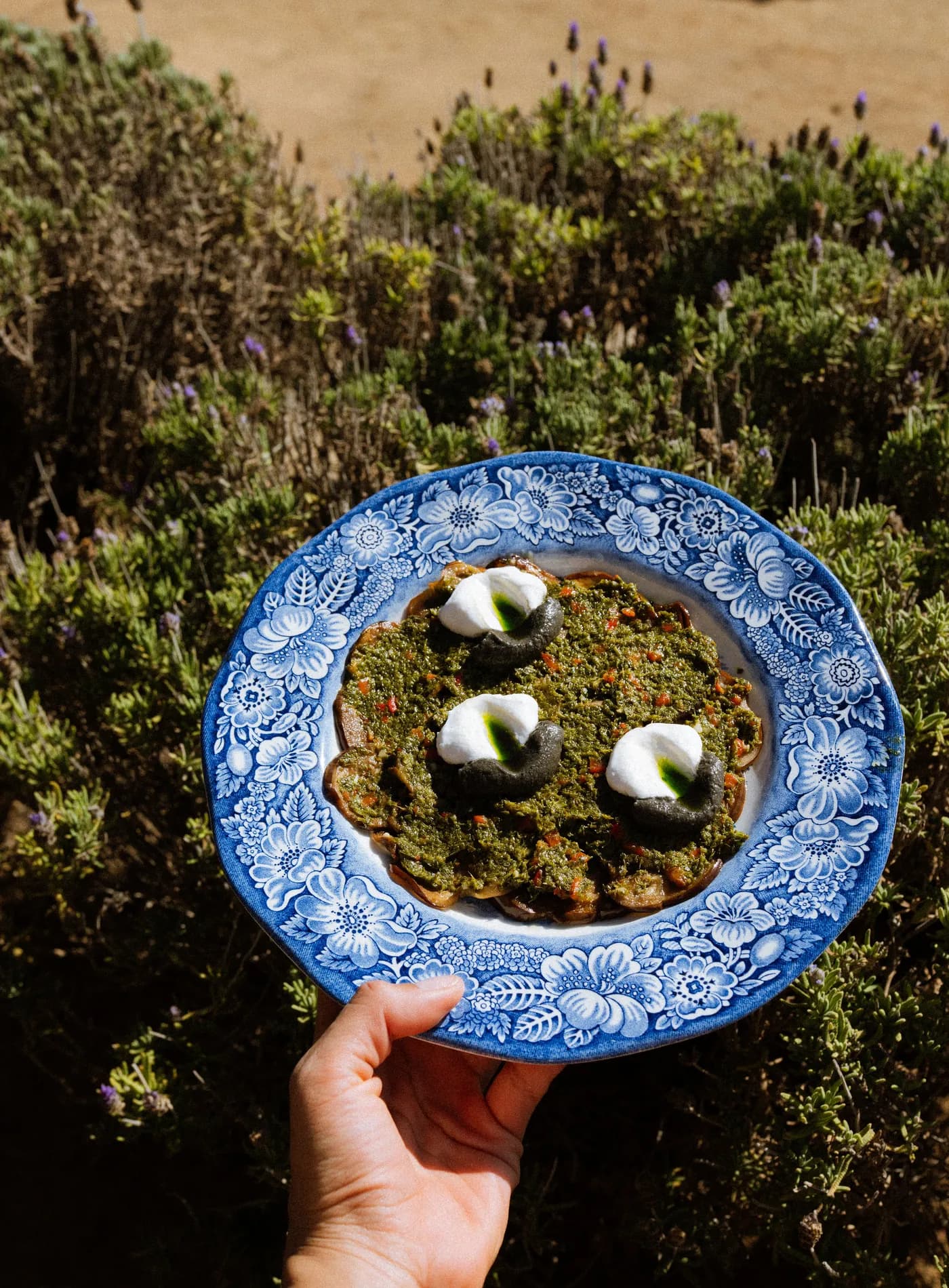 Producto de huerto sobre el matorral